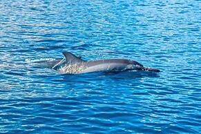 EDEN - Private Island - TAHA'A