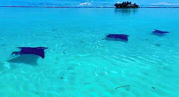 EDEN - Private Island - TAHA'A