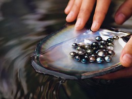 EDEN - Private Island - TAHA'A