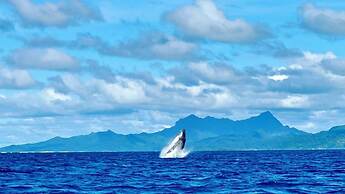 EDEN - Private Island - TAHA'A