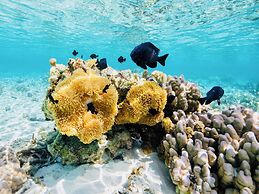 EDEN - Private Island - TAHA'A