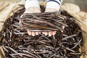 EDEN - Private Island - TAHA'A