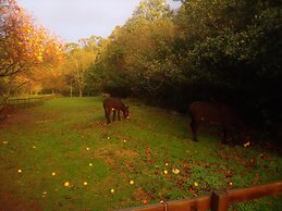 Budiño de Serraseca