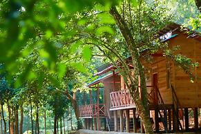 Paradise Eco Garden