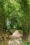 Paradise Eco Garden