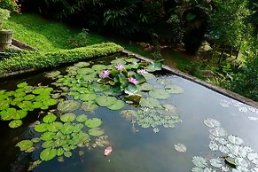 Paradise Eco Garden