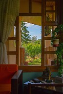 Buganvilla