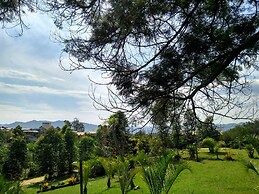 Pousada Morro das Palmeiras