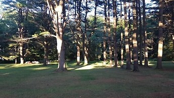 Catskill Motor Court Motel