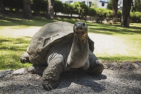 Wyndham Costa del Sol Arequipa