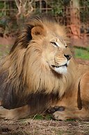 Residence Inn by Marriott Greenville Downtown