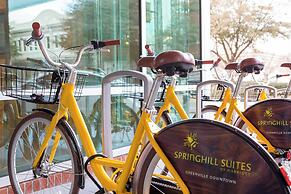 SpringHill Suites by Marriott Greenville Downtown