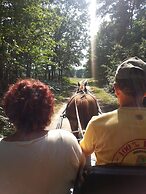 Chambres D'hôtes La Quèrière