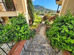 Terrace Life Palm Apart