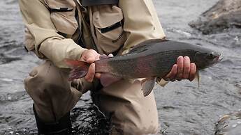 Bulbul Jamak Travel Guesthouse