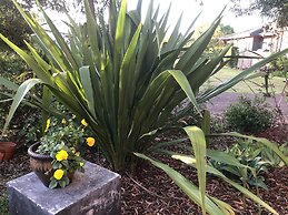 Gumnut Grove The Vintage