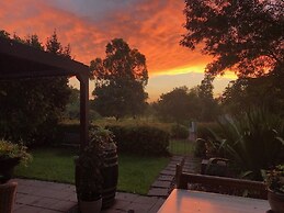 Gumnut Grove The Vintage