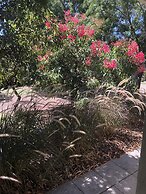 Gumnut Grove The Vintage