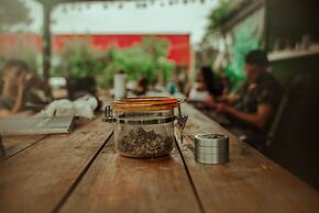 THC Hostel Uruguay