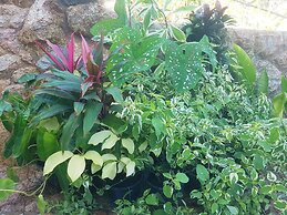 Magic Private Pool Villas Koh Samui