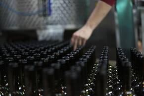 Vinifera Vineyards Hotel