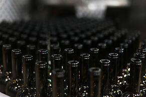 Vinifera Vineyards Hotel