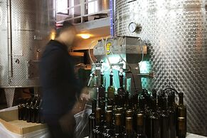 Vinifera Vineyards Hotel