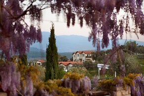 Vinifera Vineyards Hotel