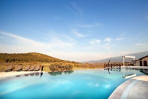 Vinifera Vineyards Hotel