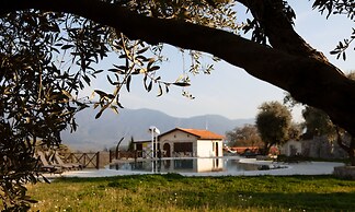 Vinifera Vineyards Hotel