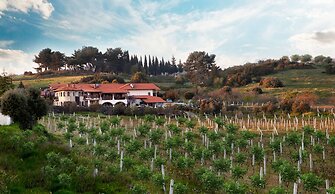 Vinifera Vineyards Hotel