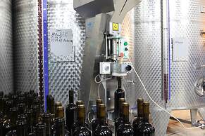 Vinifera Vineyards Hotel