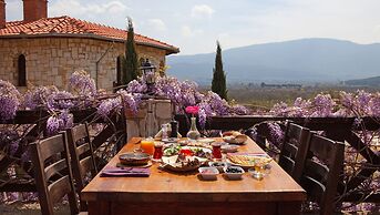 Vinifera Vineyards Hotel