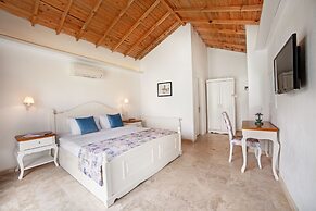 Vinifera Vineyards Hotel