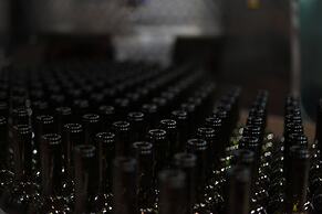 Vinifera Vineyards Hotel