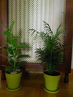 Athenian Oasis with fountain, Ideal for couples, 6th Floor