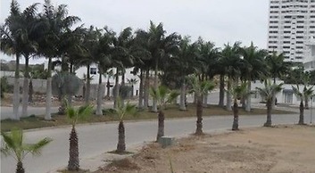 Departamento Punta Centinela