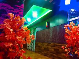 Pine View Resort - Gulmarg