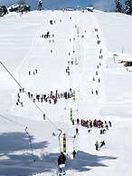Pine View Resort - Gulmarg