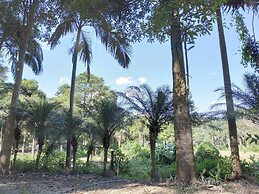 Farmstay at Pha Ma Chiangrai