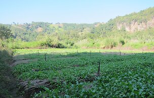 Farmstay at Pha Ma Chiangrai