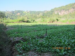 Farmstay at Pha Ma Chiangrai