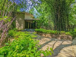 Syna Tiger Resort - Bandhavgarh
