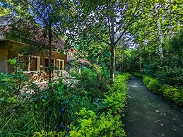 Syna Tiger Resort - Bandhavgarh