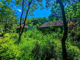 Syna Tiger Resort - Bandhavgarh