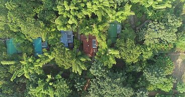 Syna Tiger Resort - Bandhavgarh