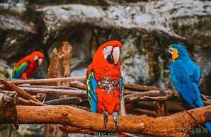 Vdara Pool Resort and Spa