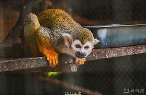 Vdara Pool Resort and Spa