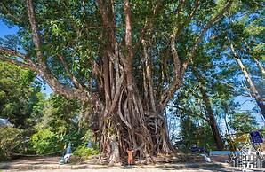 Vdara Pool Resort and Spa