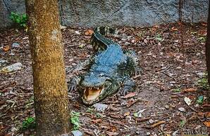 Vdara Pool Resort and Spa